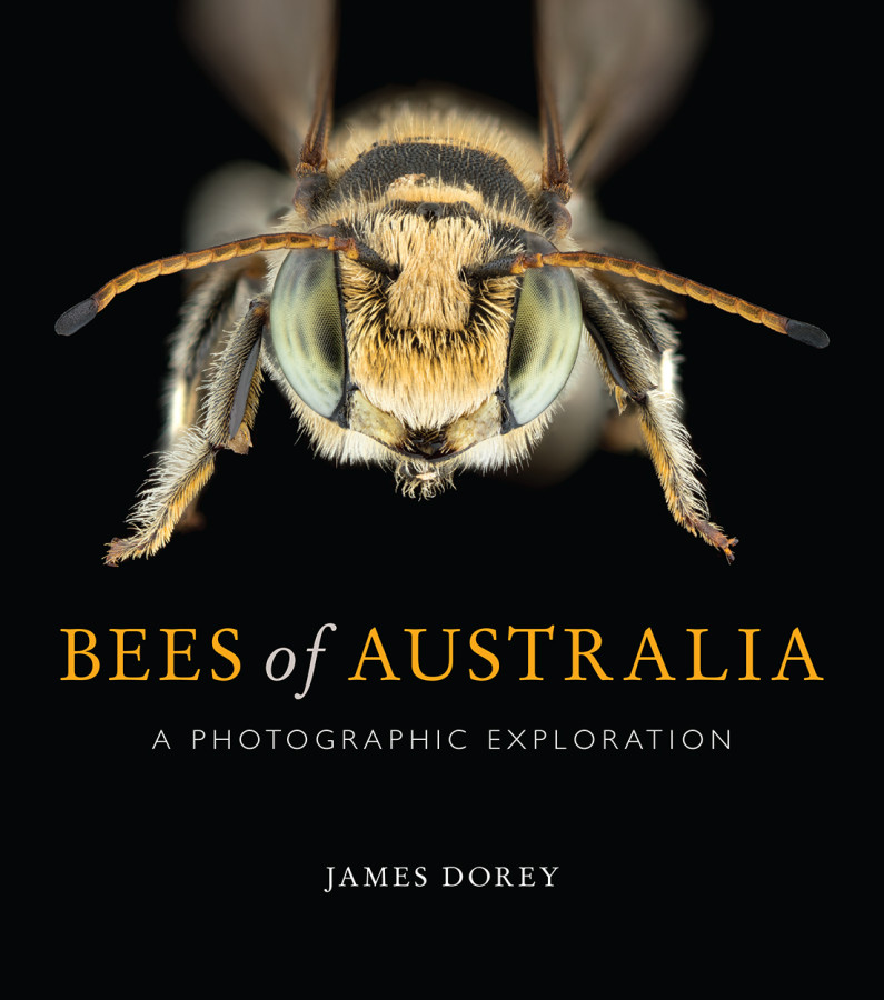 Bees Of Australia – (Dorey)