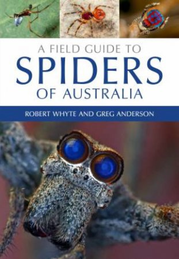A Field Guide To Spiders of Australia – ( Whyte & Anderson )